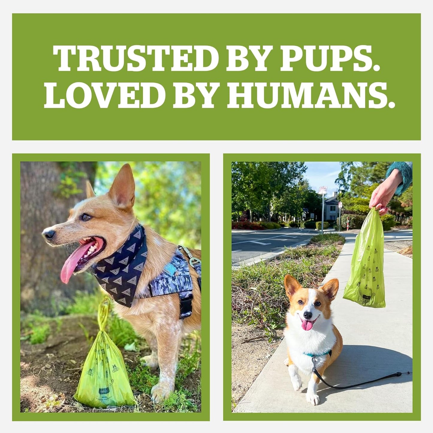 Pogi’S Dog Poop Bags - 10 Rolls (150 Doggie Poop Bags) - Leak-Proof Dog Waste Bags - Scented, Ultra Thick, Extra Large Poop Bags for Dogs